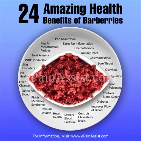 health benefits of barberries